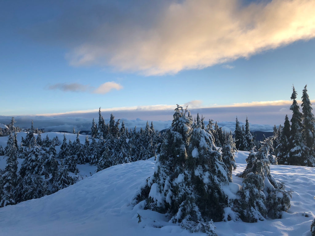 Mount Seymour Permit Program