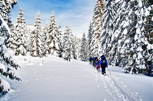 Snowshoes or Skis?